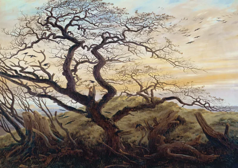 Caspar David Friedrich | Kragernes Træ - 1822 | Indrammet kunsttryk | Romantic | formida