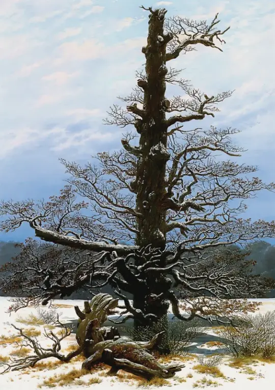 Caspar David Friedrich | Egetræ i sneen - 1829 | Indrammet kunsttryk | Romantic | formida