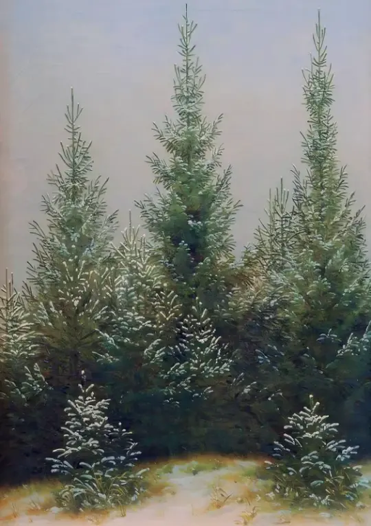 Caspar David Friedrich | Grankrat i sneen - 1828 | Indrammet kunsttryk | Romantic | formida