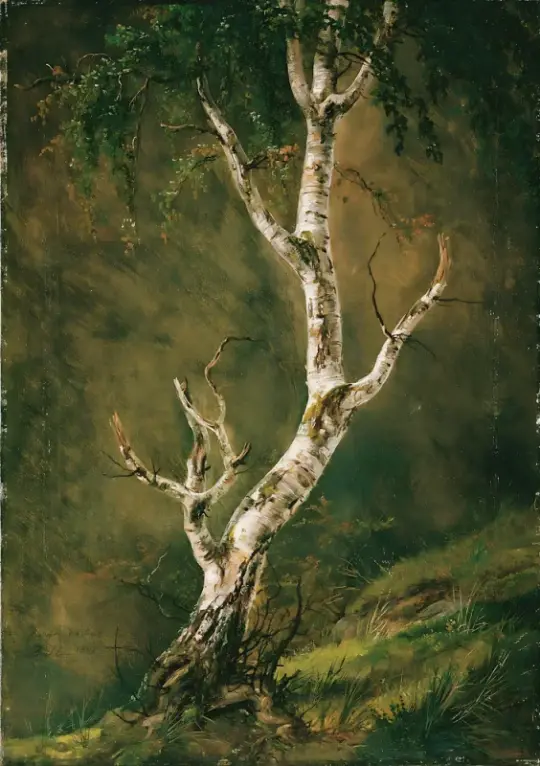Caspar David Friedrich | Studie af et birketræ - 1826 | Indrammet kunsttryk | Romantic | formida