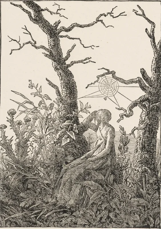 Caspar David Friedrich | Kvinde med et spindelvæv - 1803 | Indrammet kunsttryk | Romantic | formida