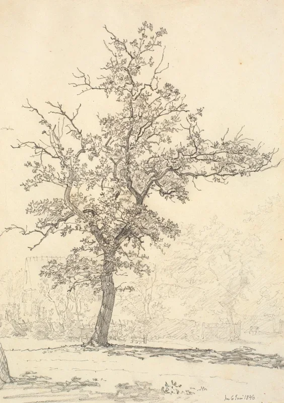 Christen Købke | Ein Stück aus einem Garten - 1846 | Gerahmter Kunstdruck | Goldenes Zeitalter Dänemark | formida