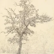 Christen Købke | Ein Stück aus einem Garten - 1846 | Gerahmter Kunstdruck | Goldenes Zeitalter Dänemark | formida