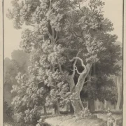 Christoffer W. Eckersberg | Waldpartie bei Svendstrup - 1853 | Gerahmter Kunstdruck | Goldenes Zeitalter Dänemark | formida