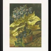 Cineraria - 1886