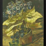 Cineraria - 1886