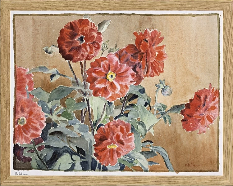 Dahliaer - 1915