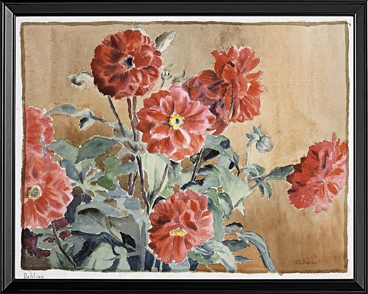 Dahliaer - 1915