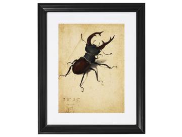 Stag Beetle - 1505