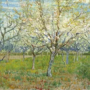 Den lyserøde frugthave - 1888