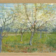 Den lyserøde frugthave - 1888