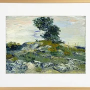 Klippe - 1888