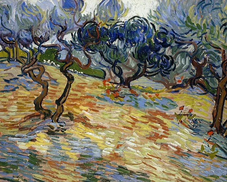 Oliventræer - 1889