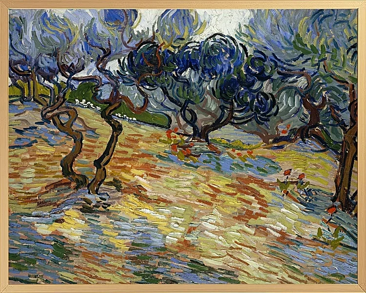 Oliventræer - 1889