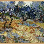 Oliventræer - 1889