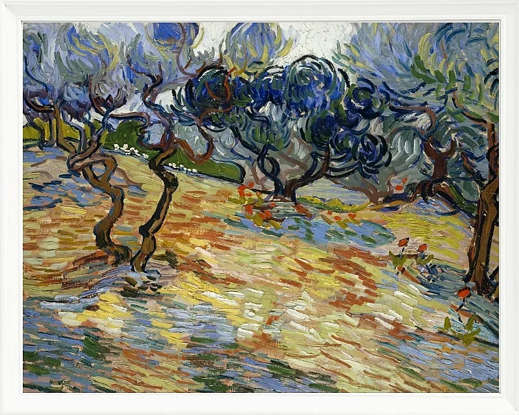 Oliventræer - 1889