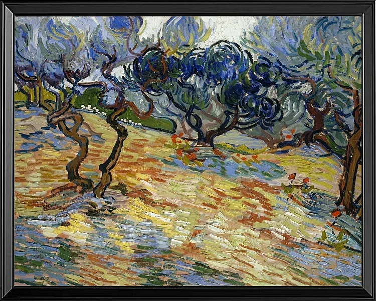 Oliventræer - 1889