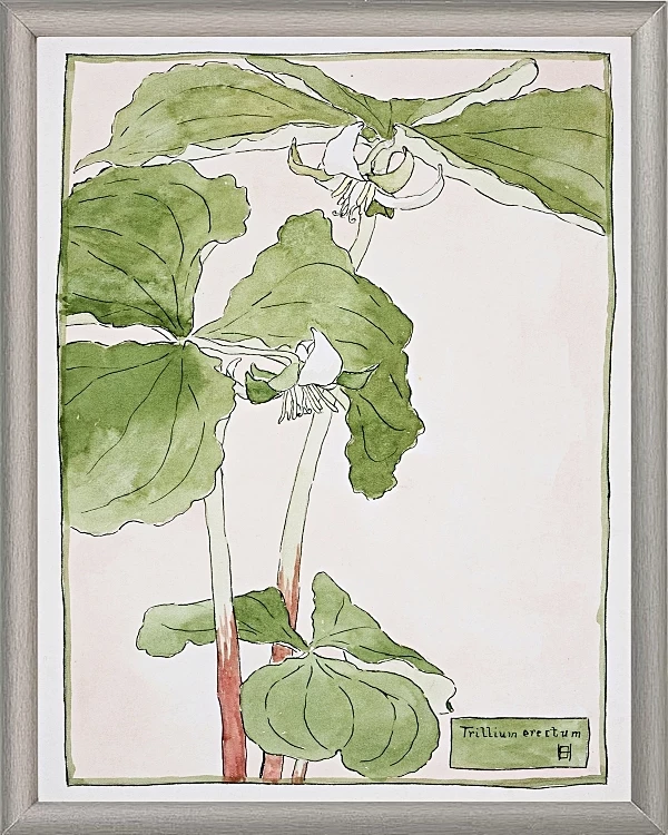 Dreiblatt - 1915