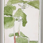 Dreiblatt - 1915