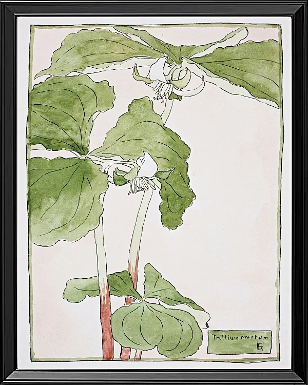 Dreiblatt - 1915
