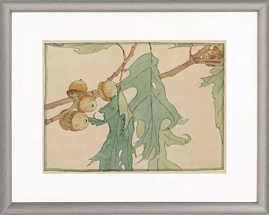 Eiche und Eicheln - 1915