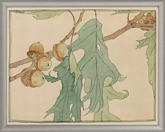 Eg og agern - 1915