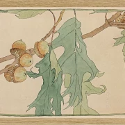 Eg og agern - 1915