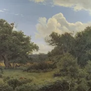 Egetræ i nordskoven på Jægerspris, Sjæland – 1842