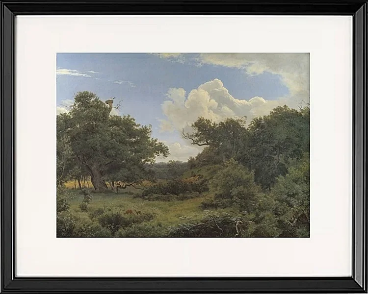 Egetræ i nordskoven på Jægerspris, Sjæland – 1842