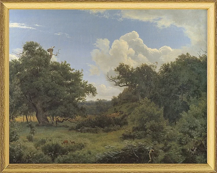 Egetræ i nordskoven på Jægerspris, Sjæland – 1842