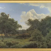 Egetræ i nordskoven på Jægerspris, Sjæland – 1842