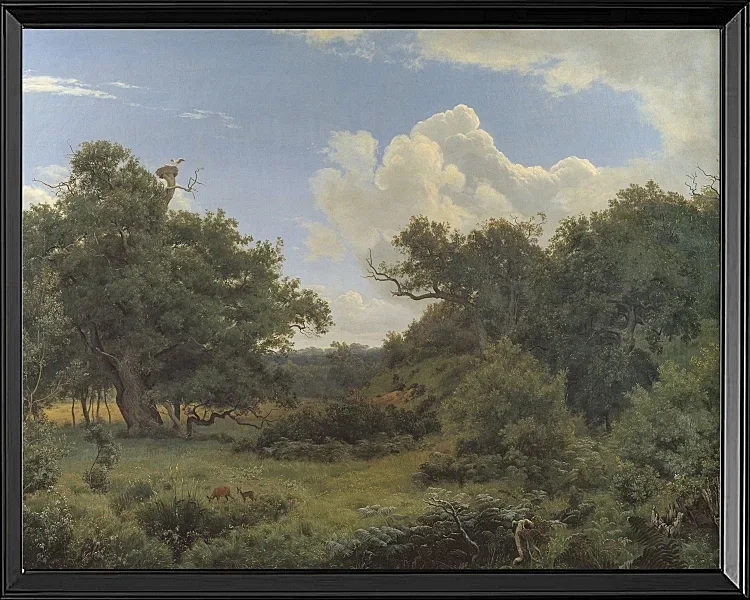 Egetræ i nordskoven på Jægerspris, Sjæland – 1842