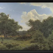 Egetræ i nordskoven på Jægerspris, Sjæland – 1842