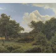 Egetræ i nordskoven på Jægerspris, Sjæland – 1842