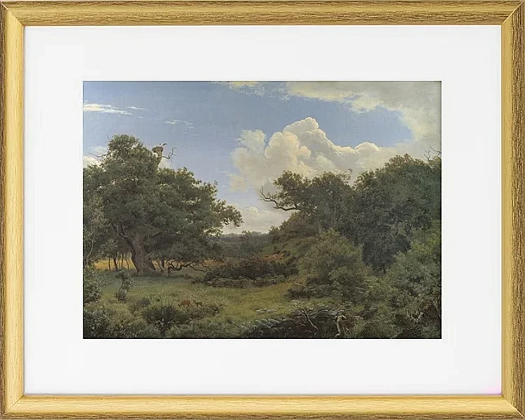 Egetræ i nordskoven på Jægerspris, Sjæland – 1842