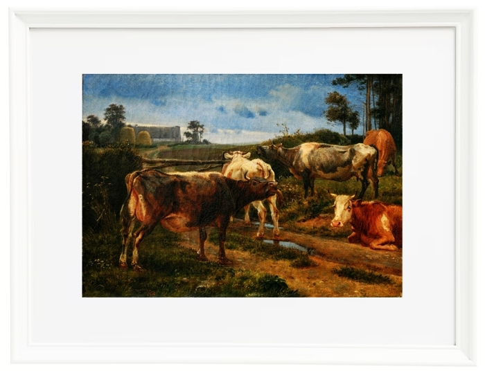 Bellowing cows by the fence gate - 1847