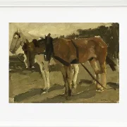 Ein braunes und ein weißes Pferd in Scheveningen - 1880