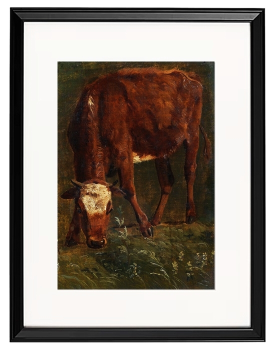 Grazing red heifer - 1843