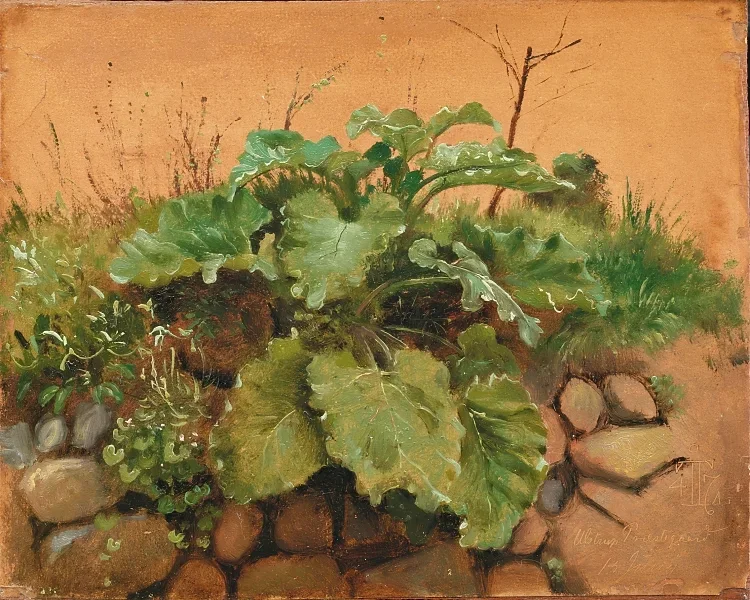 Eine Klette und andere Pflanzen auf einer Steinmauer – 1847