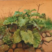 Eine Klette und andere Pflanzen auf einer Steinmauer – 1847