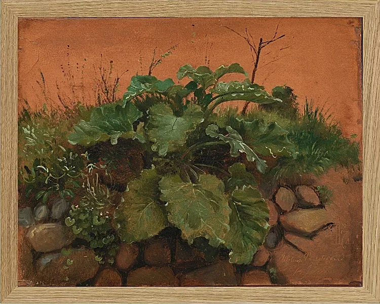 Eine Klette und andere Pflanzen auf einer Steinmauer – 1847