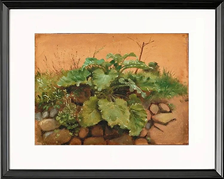 Eine Klette und andere Pflanzen auf einer Steinmauer – 1847