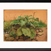 Eine Klette und andere Pflanzen auf einer Steinmauer – 1847