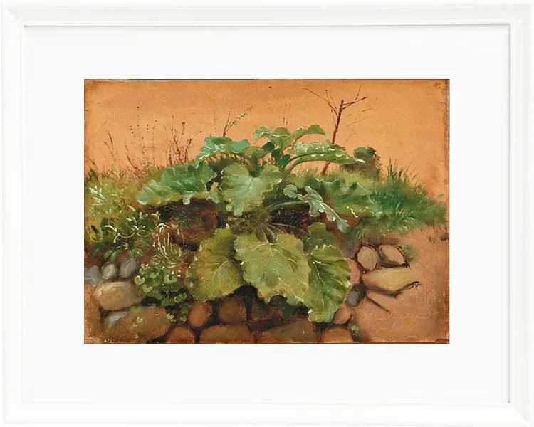 Eine Klette und andere Pflanzen auf einer Steinmauer – 1847