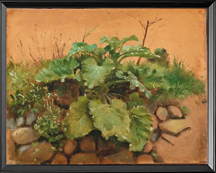 Eine Klette und andere Pflanzen auf einer Steinmauer – 1847