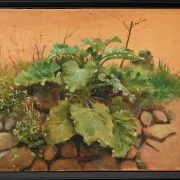 Eine Klette und andere Pflanzen auf einer Steinmauer – 1847