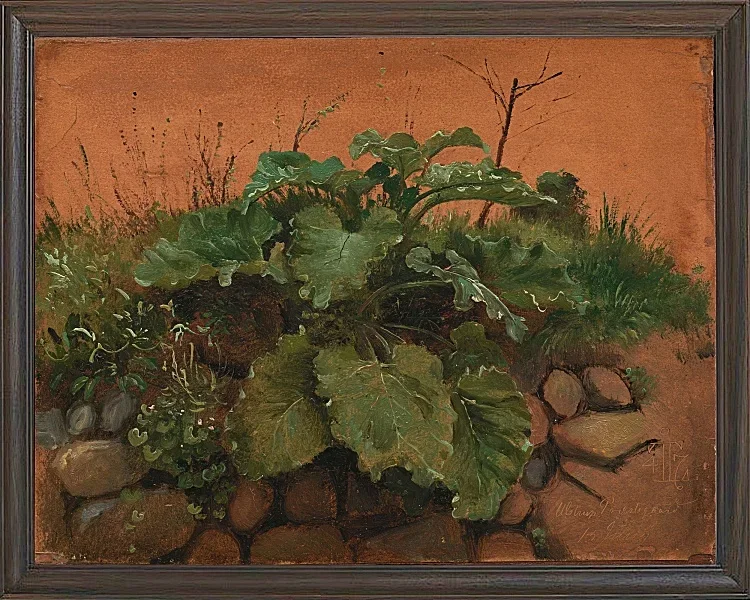 Eine Klette und andere Pflanzen auf einer Steinmauer – 1847