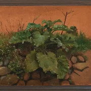 Eine Klette und andere Pflanzen auf einer Steinmauer – 1847