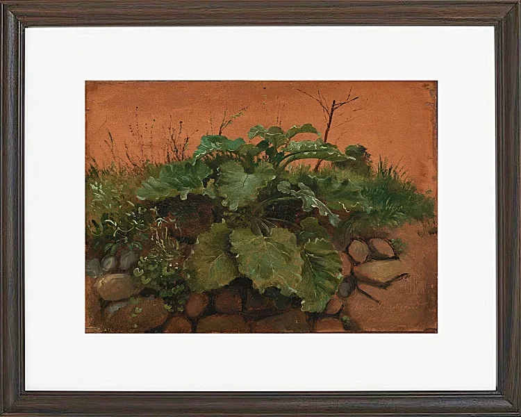 Eine Klette und andere Pflanzen auf einer Steinmauer – 1847