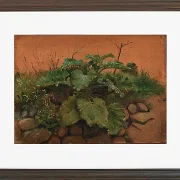 Eine Klette und andere Pflanzen auf einer Steinmauer – 1847